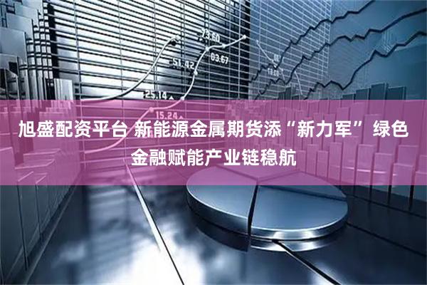 旭盛配资平台 新能源金属期货添“新力军” 绿色金融赋能产业链稳航